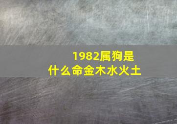 1982属狗是什么命金木水火土