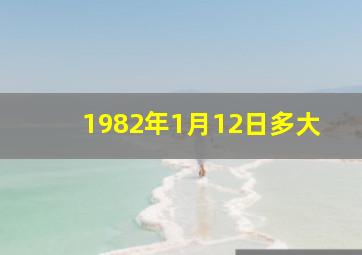 1982年1月12日多大