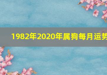 1982年2020年属狗每月运势