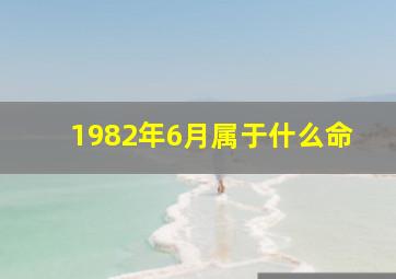 1982年6月属于什么命