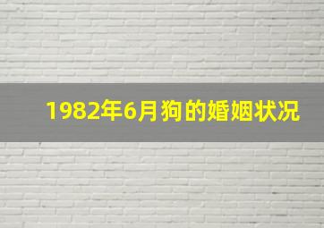 1982年6月狗的婚姻状况