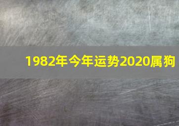 1982年今年运势2020属狗