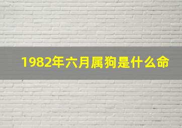 1982年六月属狗是什么命