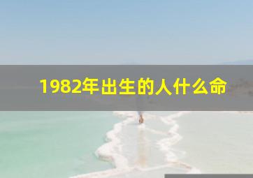 1982年出生的人什么命