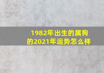 1982年出生的属狗的2021年运势怎么样