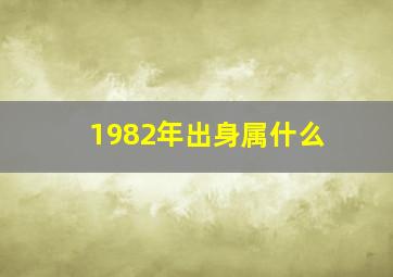 1982年出身属什么