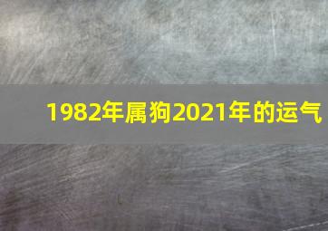 1982年属狗2021年的运气