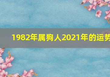 1982年属狗人2021年的运势