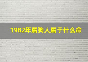 1982年属狗人属于什么命