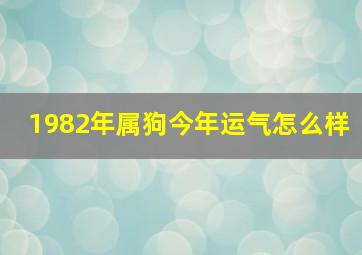 1982年属狗今年运气怎么样