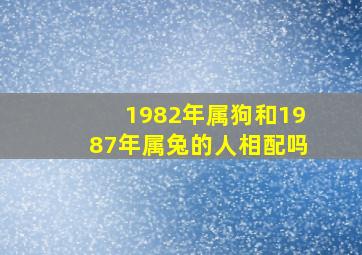 1982年属狗和1987年属兔的人相配吗