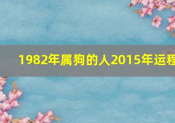 1982年属狗的人2015年运程