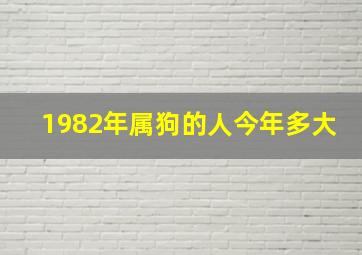 1982年属狗的人今年多大