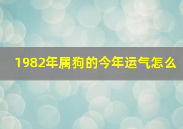 1982年属狗的今年运气怎么