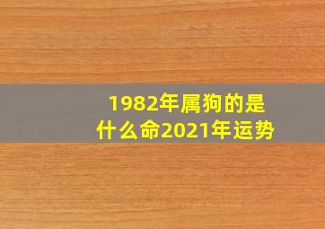 1982年属狗的是什么命2021年运势