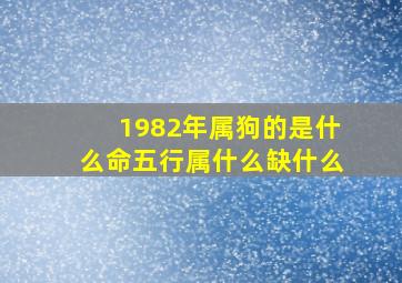 1982年属狗的是什么命五行属什么缺什么