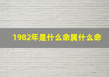 1982年是什么命属什么命