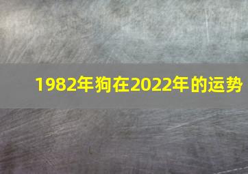 1982年狗在2022年的运势