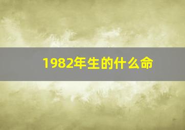 1982年生的什么命