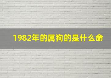 1982年的属狗的是什么命