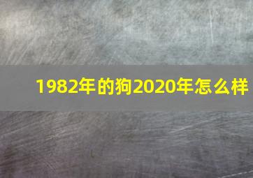 1982年的狗2020年怎么样