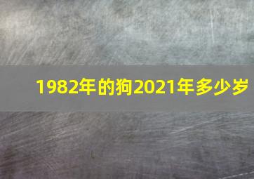 1982年的狗2021年多少岁