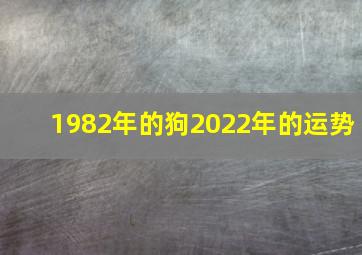 1982年的狗2022年的运势