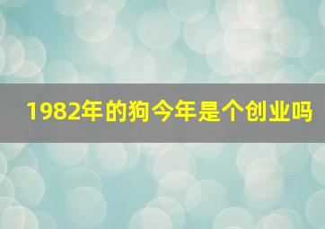 1982年的狗今年是个创业吗