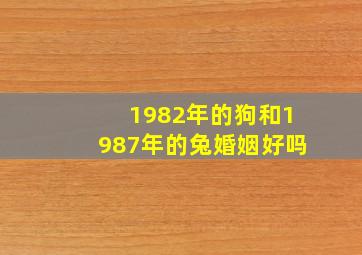 1982年的狗和1987年的兔婚姻好吗