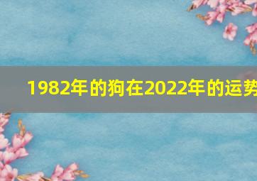 1982年的狗在2022年的运势