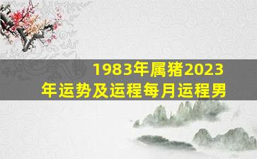 1983年属猪2023年运势及运程每月运程男