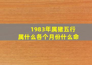 1983年属猪五行属什么各个月份什么命