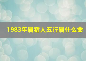 1983年属猪人五行属什么命