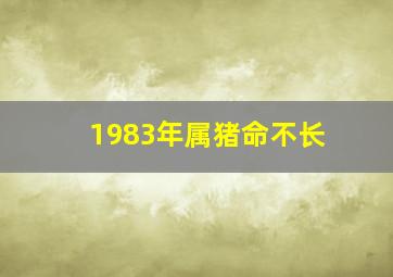 1983年属猪命不长