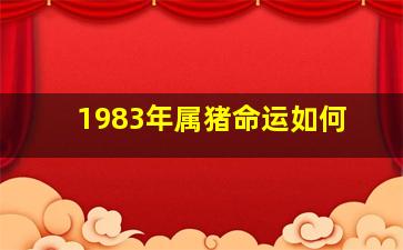 1983年属猪命运如何