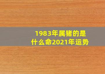 1983年属猪的是什么命2021年运势