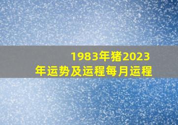 1983年猪2023年运势及运程每月运程