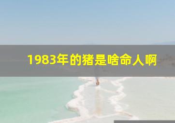 1983年的猪是啥命人啊