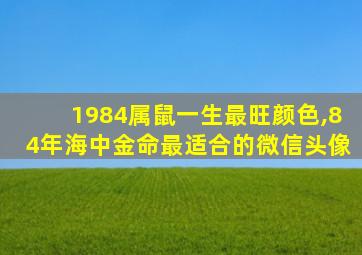 1984属鼠一生最旺颜色,84年海中金命最适合的微信头像