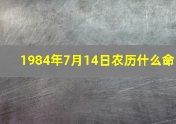 1984年7月14日农历什么命