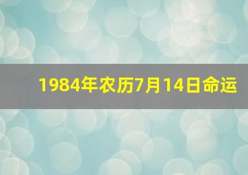 1984年农历7月14日命运