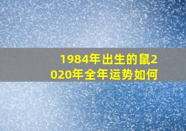 1984年出生的鼠2020年全年运势如何