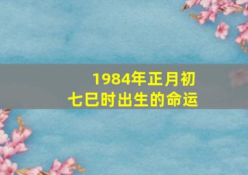 1984年正月初七巳时出生的命运