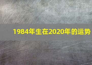 1984年生在2020年的运势