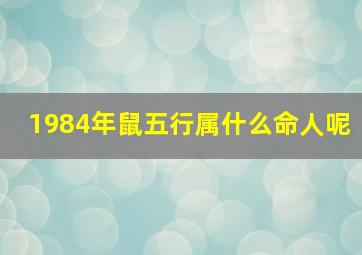 1984年鼠五行属什么命人呢