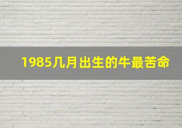 1985几月出生的牛最苦命