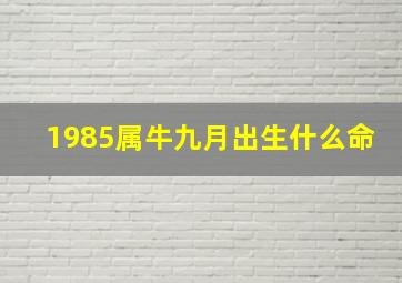 1985属牛九月出生什么命