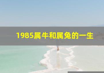 1985属牛和属兔的一生