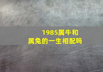 1985属牛和属兔的一生相配吗