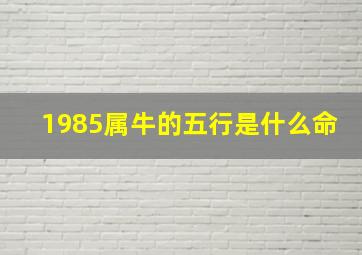 1985属牛的五行是什么命